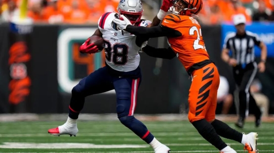 Patriots vs Bengals