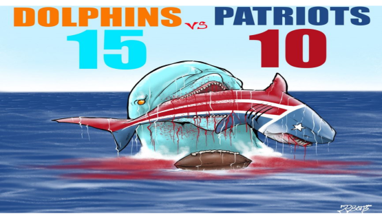 Dolphins