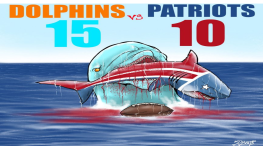 Dolphins