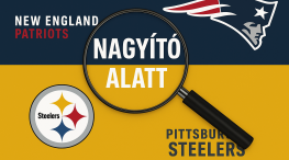 Pats-steelers