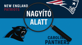 Panthers
